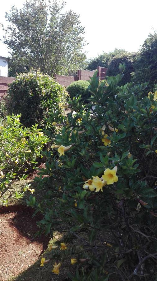 Hamba Kancane Ma-Africa Guest House Graskop Exterior foto